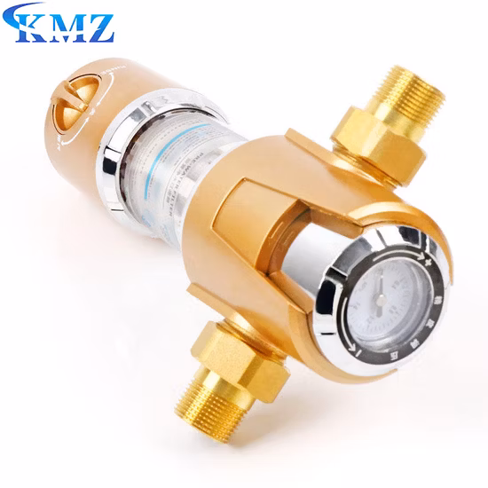 Wholesale Price Brass Material 10 to 200 Mircons Outdoor Heavy Metal Removal Whole House Water Prefilter Housing with Cartridge