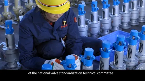 150lb 300lb Adjustable Pressure Full Lift Steam Boiler Safety Pressure Relief Valve for Industrial Boiler 