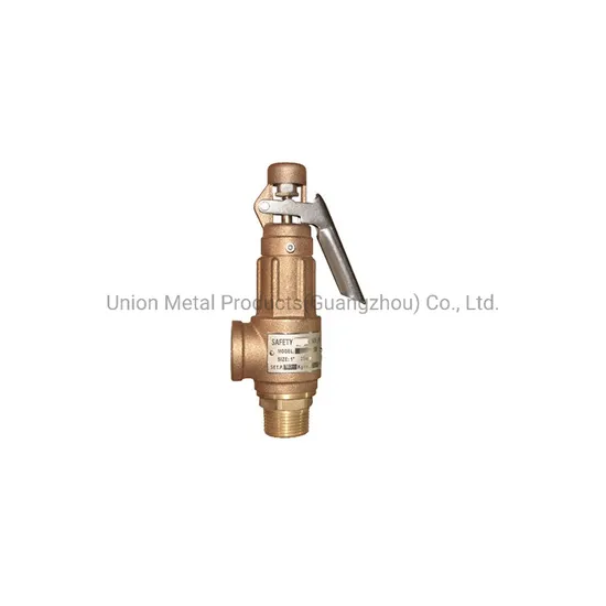 Spring Boiler Loaded Bronze Lever Type Brass Safety Relief Valve 